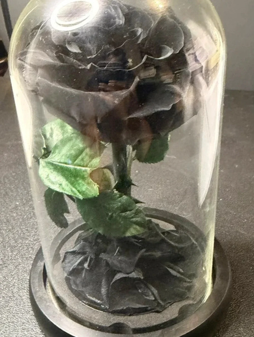 Gothic Enchanted Black Forever Rose in Glass Cloche Dome